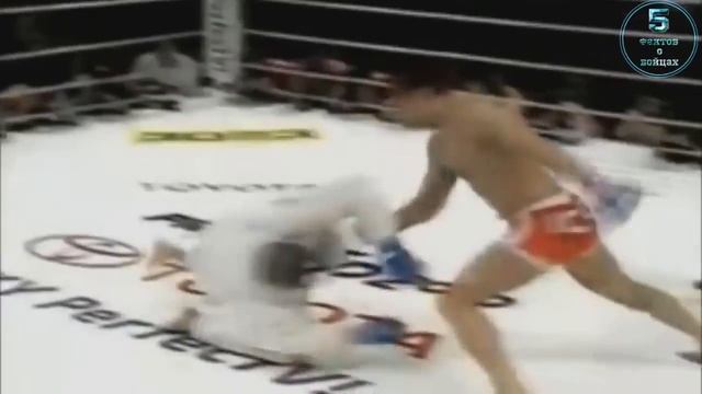 5 фактов РОЙС ГРЕЙСИ смотреть онлайн