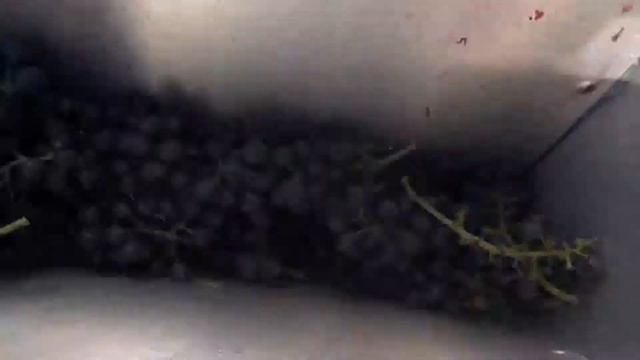 Работа дробилки с гребнеотделителем смотреть онлайн