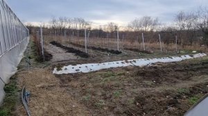 Компостная яма для растительных остатков.