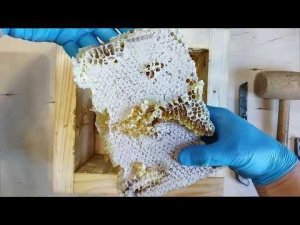 Как извлечь медовые соты из корпуса японского улья.