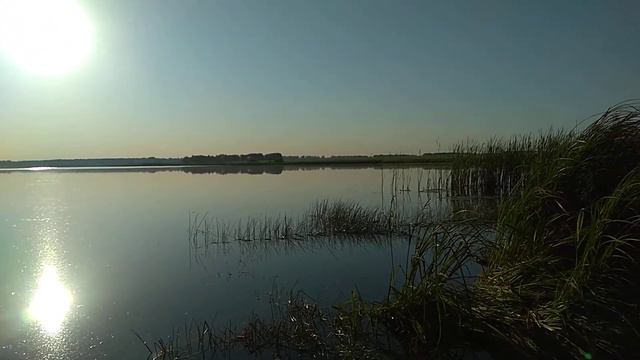Утро. Рассвет. Водоем смотреть онлайн
