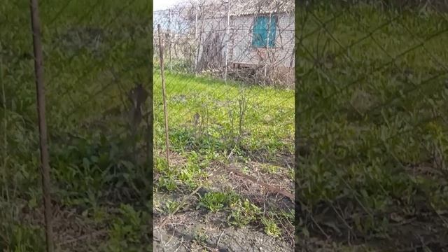 женский туалет-экстрим