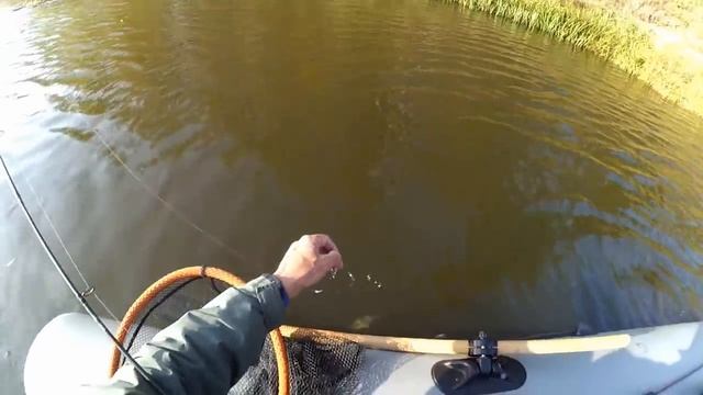 Ловля голавля, язя, жереха осенью на FishyCat ICAT 32F!