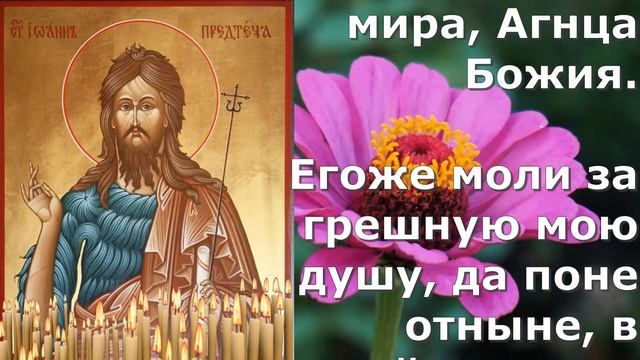 Молитва от семейных проблем Иоанну Крестителю