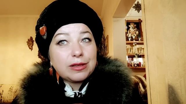 Блиц с заводчиком корги. ЧАСТЬ 1 смотреть онлайн