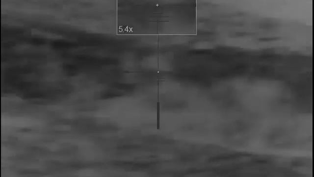 Охота на волка