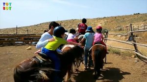 Катание на лошадях, игры с лошадьми.  Лошадки пони.  Дети катаются на лошадях  #Toyboy