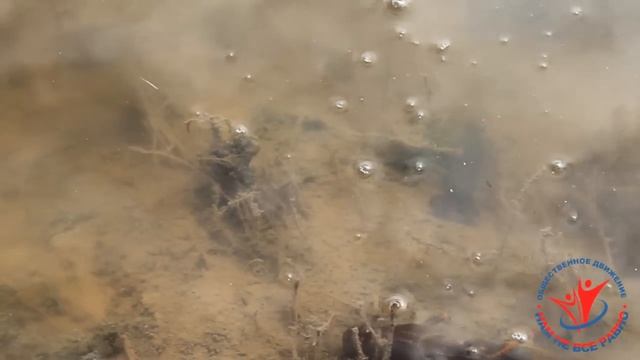 Выпуск молоди раков. г.Лысково - 2015 смотреть онлайн