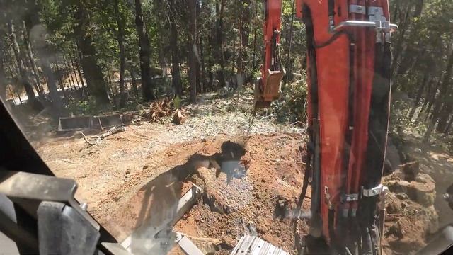 Stubborn Oak Stumps And Firewood With The Kubota KX-040