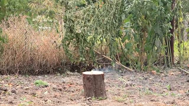 Петарды Triangle Cracker P1005 смотреть онлайн