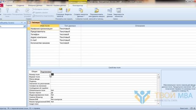 1 Введение в Access