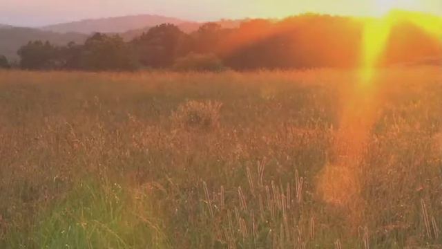 Hymnus смотреть онлайн