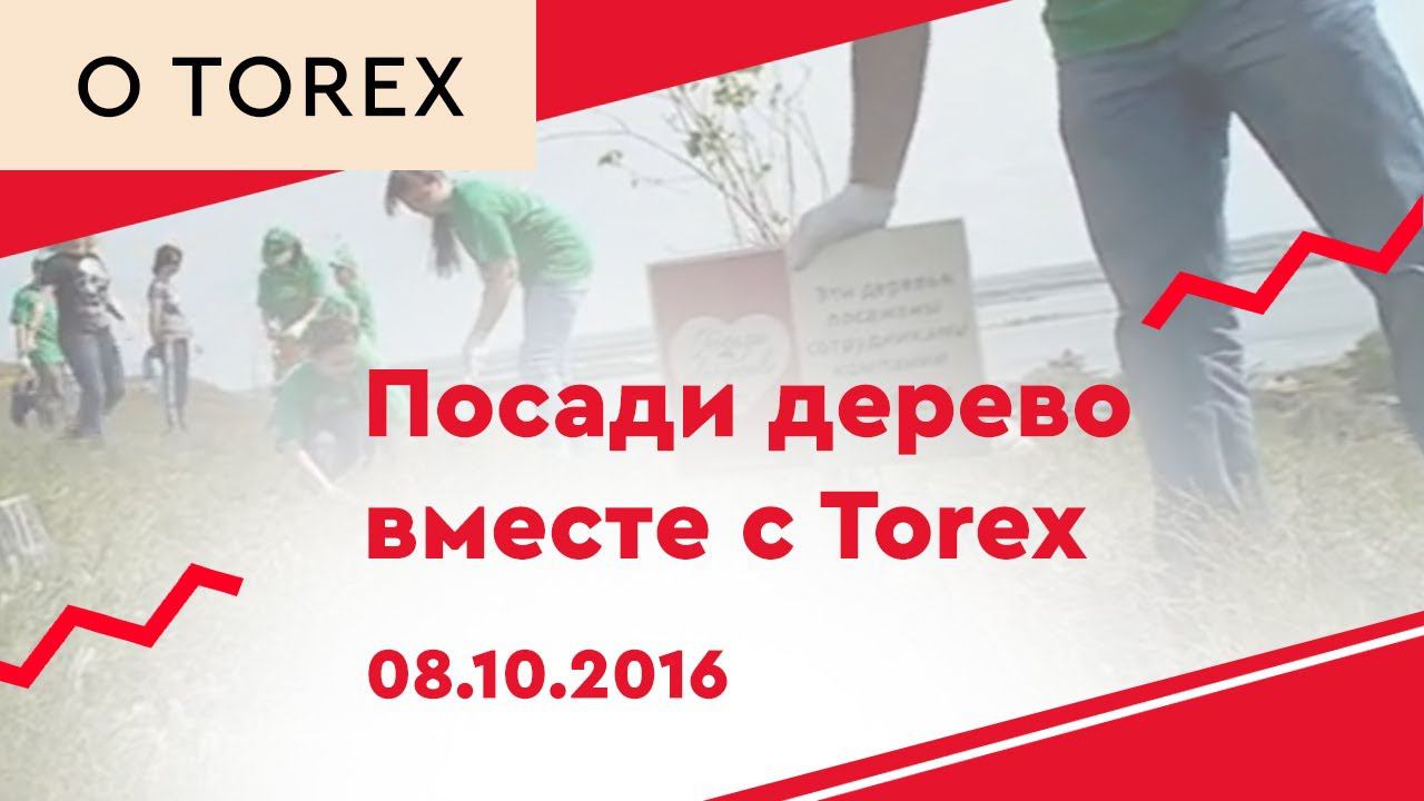 Посади дерево вместе с Torex смотреть онлайн