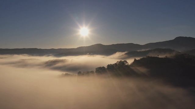 A Minor Waltz - Esther Abrami 마음에 안정이 되는 것이 음악이 아닐까 싶어요 듣기 좋은 음악은 마음에 안전감을 준다고 합니다 смотреть онлайн