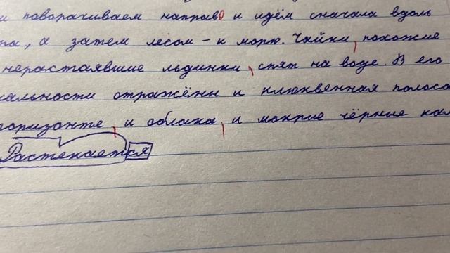 8 класс. ВПР. Писали текст. смотреть онлайн