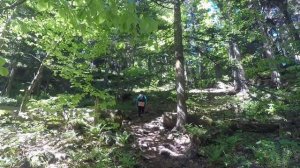 Бадукские озера пеший поход, Теберда, Домбай