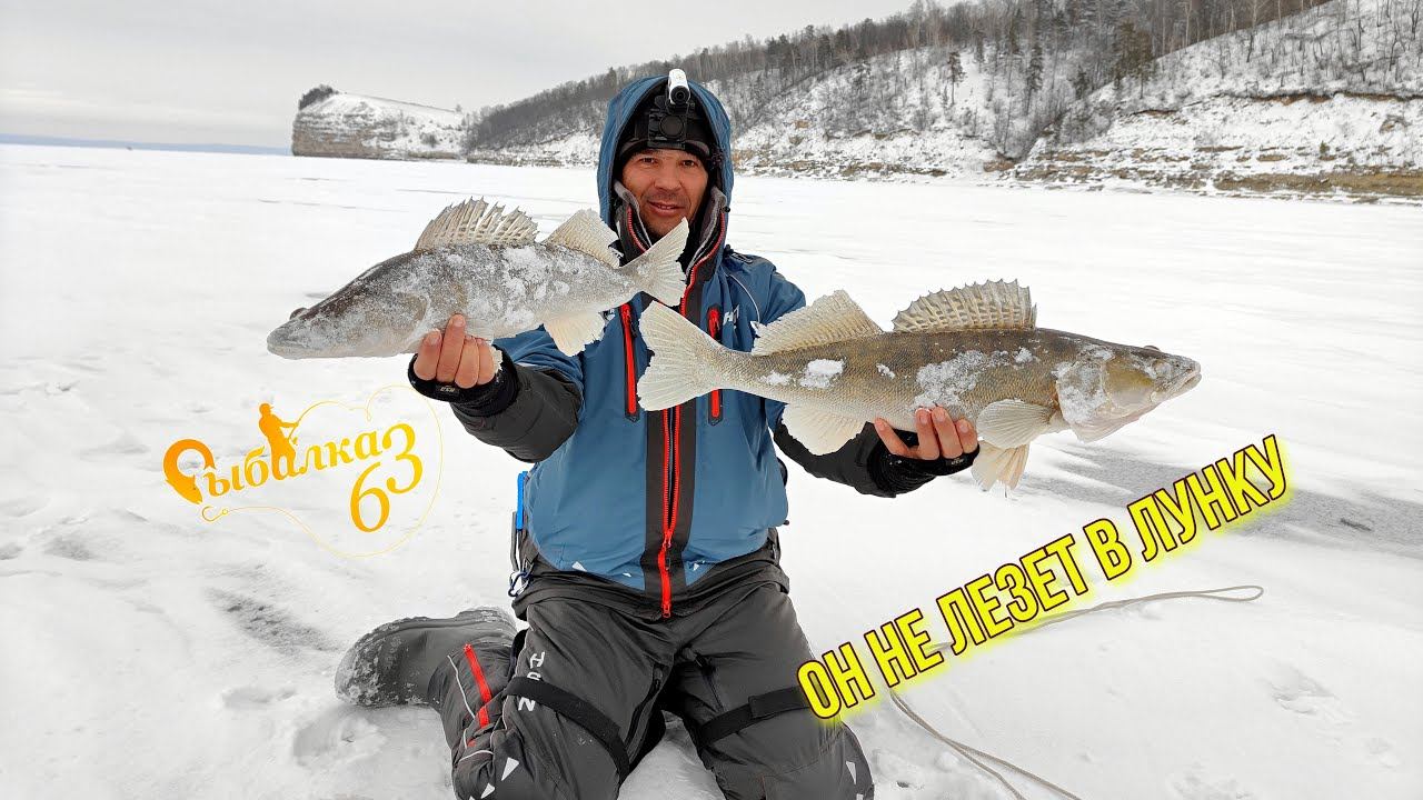 ОН НЕ ЛЕЗЕТ В ЛУНКУ!!! ТРОФЕЙНЫЙ СУДАК НА БАЛАНСИР смотреть онлайн