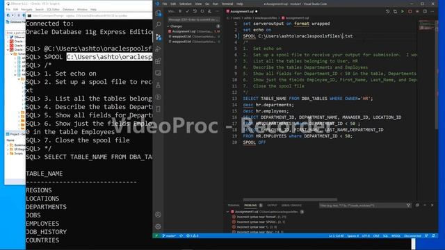 Oracle PL/SQL Development Flow смотреть онлайн