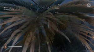 Assassin's Creed: Mirage | Окрестности Багдада | Багдадская история | Охота за сокровищами