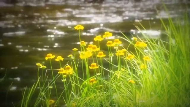 #ОСЕННЯЯ ПЕЧАЛЬ - Сергей Грищук/#AUTUMN SORRY - Sergey Grischuk