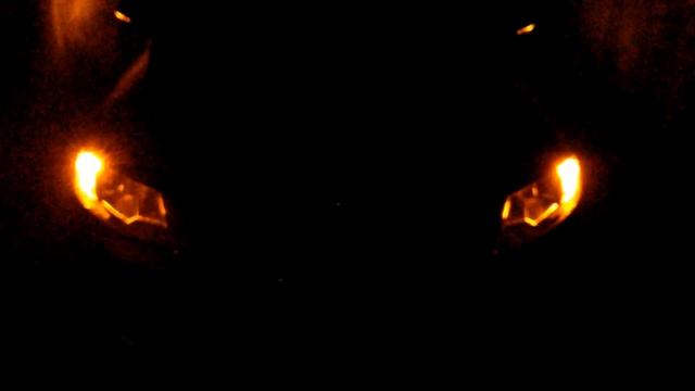Skoda Octavia III led front turn signal night смотреть онлайн