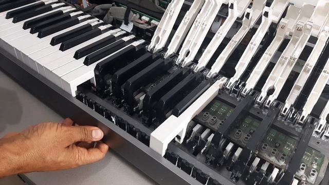 How to Fix hammer Digital casio PX 320 series смотреть онлайн