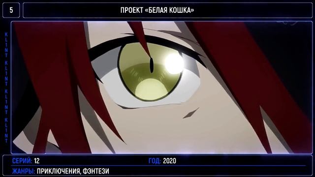 Грибы и погружение в природу природы