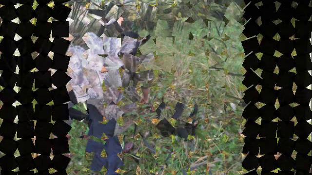 Обучение Щенков работе по Следу Зверя. IX 2013 смотреть онлайн