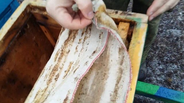 Зимовка пчел. Осмотр пчел зимой.