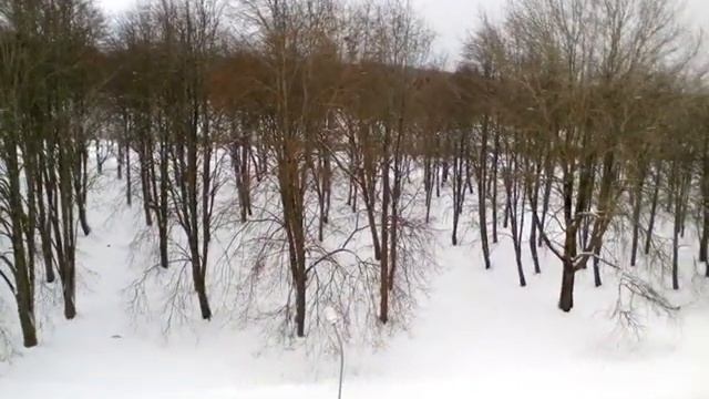 Помочь птицам и животным перенести и выжить зиму - это добро, а добро есть счастье для души. смотреть онлайн