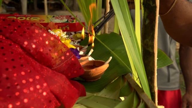 Драгоценные камни Шри Ланки