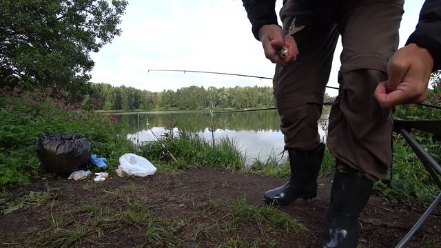 Алексеевский пруд. Балашиха. Лещ на спиннинг. Архивная рыбалка 2019 смотреть онлайн