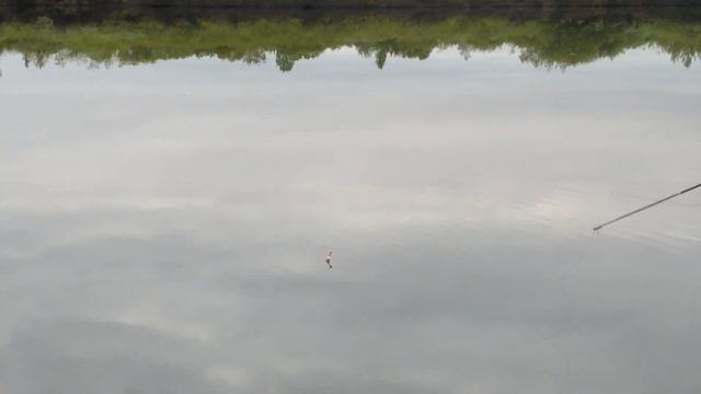 ПЕРВЫЙ ВЫХОД НА ПОПОЛВОЧНУЮ СНАСТЬ!!! УЛЕТНЫЙ КЛЁВ!!! ТАКУЮ РЫБАЛКУ МНЕ НЕ ЗАБЫТЬ НИКОГДА!!! смотреть онлайн