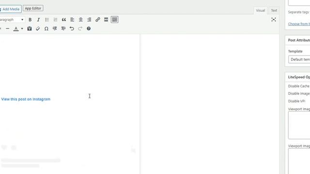 How To Use The WordPress Editor On Fashonation смотреть онлайн