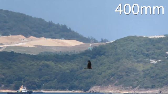一手掌握到嘅400mm | Canon PowerShot ZOOM | #攝影 #廣東話Youtuber【VLOG#83】 смотреть онлайн