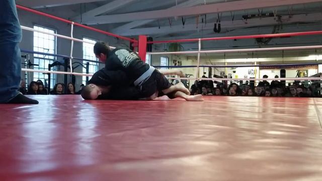 World championship grappling 4/7/18 blue belt open weight tournament смотреть онлайн