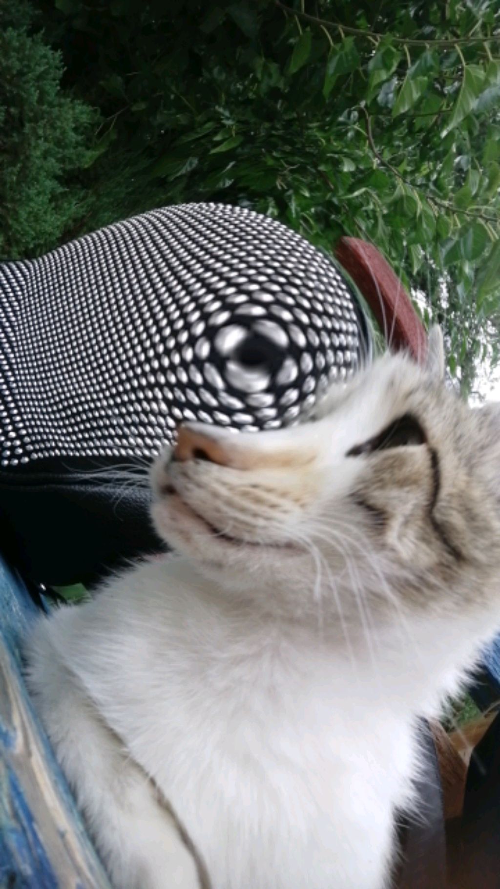 Всех люблю 😽😽😽 смотреть онлайн