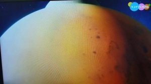 фк фонд кино лицензионные бренды