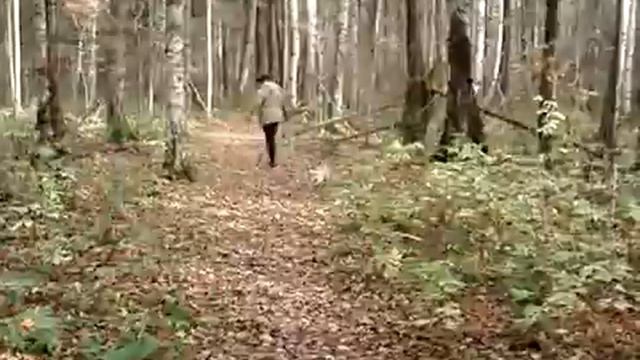 Маленький мопс, непредсказуем! смотреть онлайн