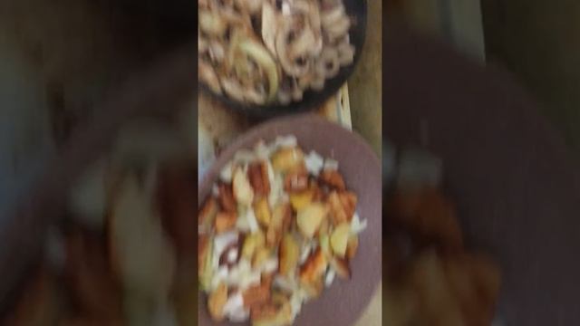 Жареная картошка , жареные грибы с капустой - начало эксперимента смотреть онлайн