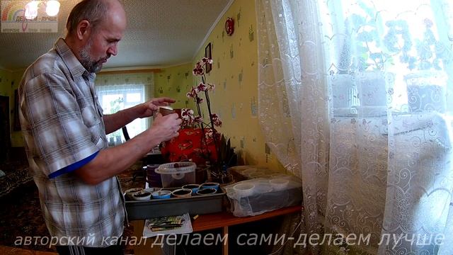 Выращивание рассады огурцов в домашних условиях.Как сажать огурцы дома.Когда сажать рассаду огурцов смотреть онлайн