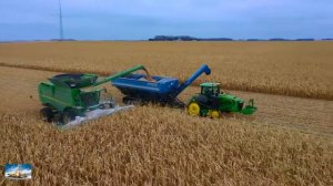 Сбор кукурузы при помощи  комбайна JOHN DEERE S780