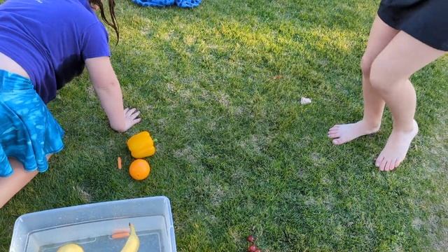 Floaters & Fruit Ninjas - Family Adventure Challenge смотреть онлайн