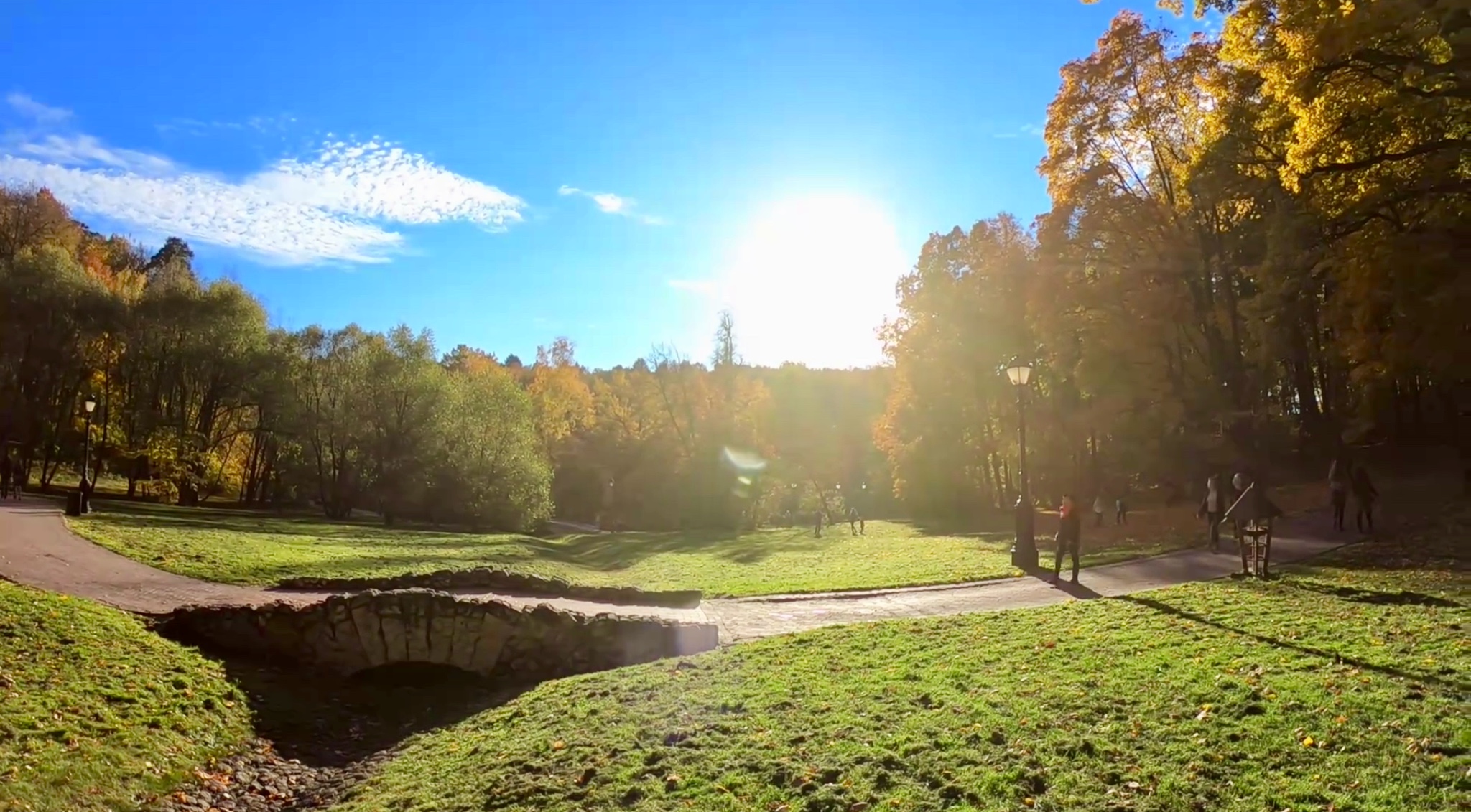 Осенняя палитра красок.