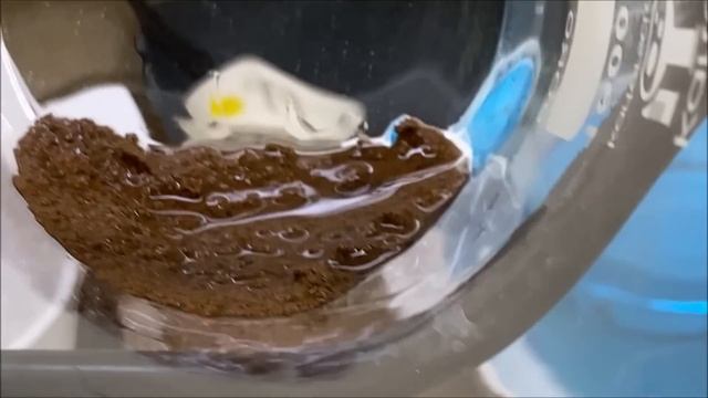 How Much GOLD in Utah Gold Backs смотреть онлайн