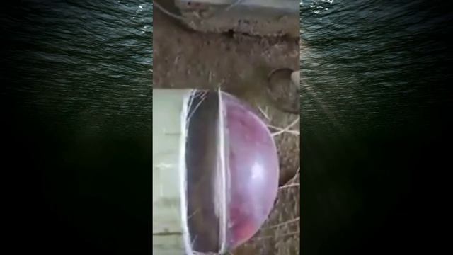 ? Скотч газ баллон қанчалик хавфли? смотреть онлайн