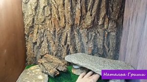 Террариум для эублефаров своими руками / Крутой фон из коры дуба