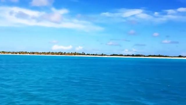 Видео фон для сайта Остров смотреть онлайн