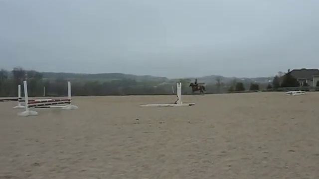 Canon 610 Up to 3 18 12 005