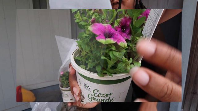 Proven Winners SUPERTUNIA Unboxing ( BUY THESE! ) 2023 #Tonetrasgarden смотреть онлайн